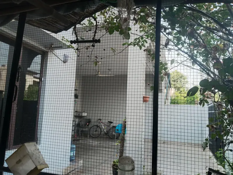 master cage urgent sell — photo 4