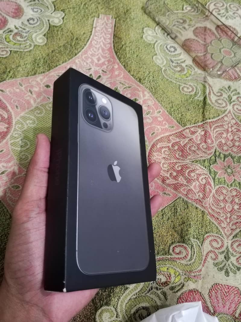 Apple iPhone 13 Pro Max 1