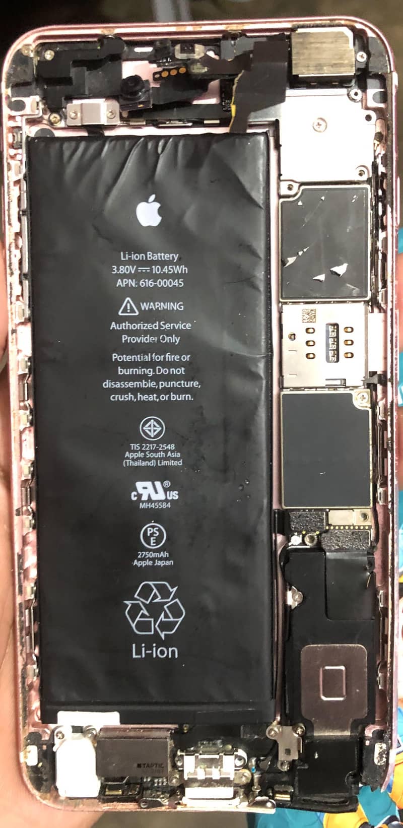 Apple iPhone 6S Plus 6