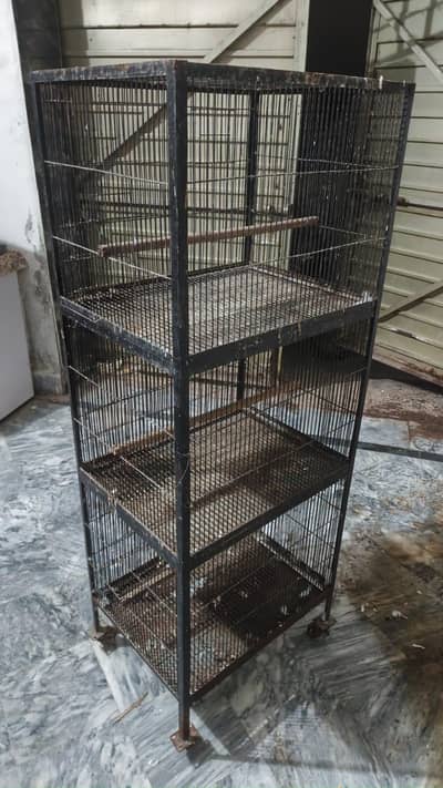 birds cage