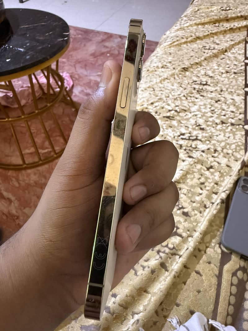 Apple iPhone 12 Pro Max 1