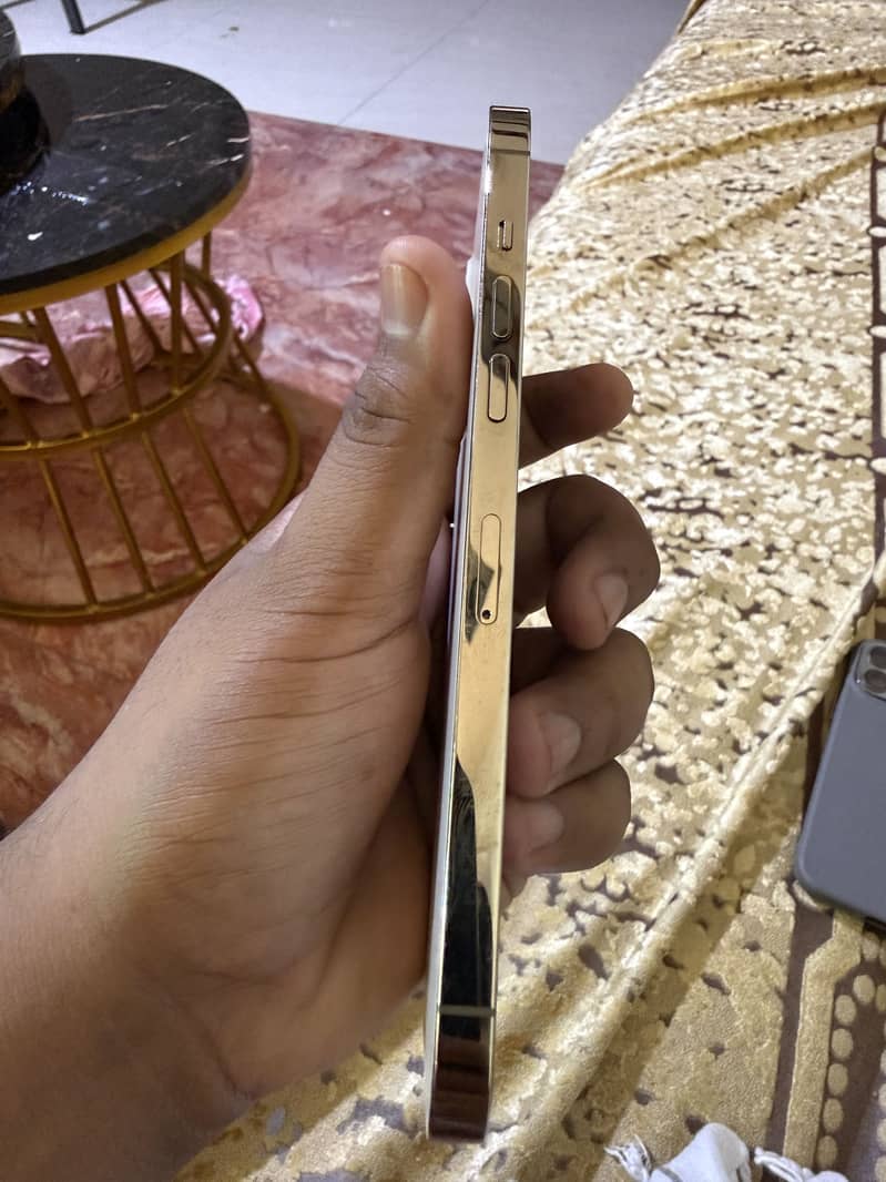Apple iPhone 12 Pro Max 3
