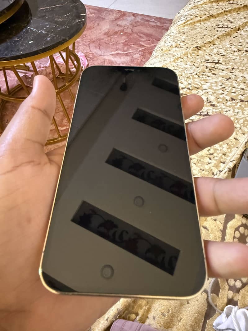 Apple iPhone 12 Pro Max 6