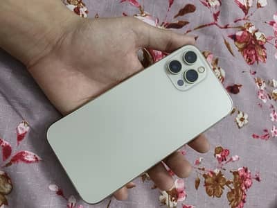 Apple iPhone 12 Pro Max