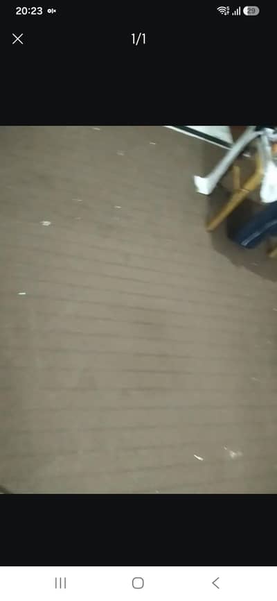 carpet