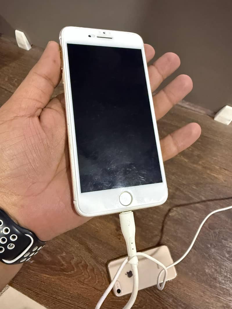 Apple iPhone 7 Plus 1