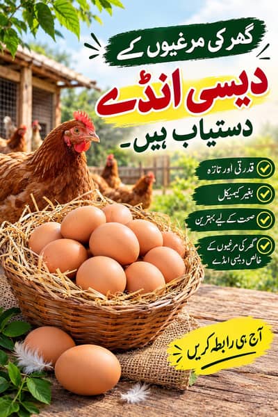 Desi Eggs