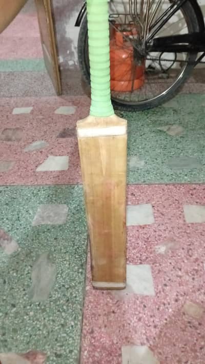 Hard ball bat . HS brand