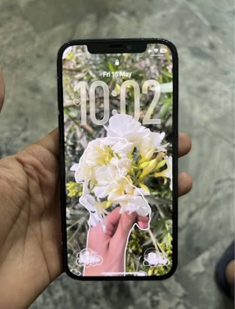 Apple iPhone 12 0