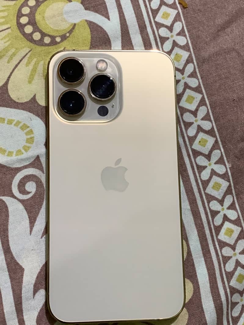 Apple iPhone 13 Pro 1