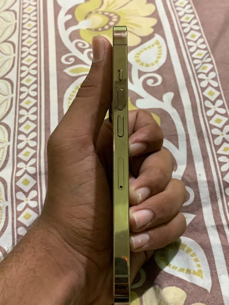 Apple iPhone 13 Pro 4