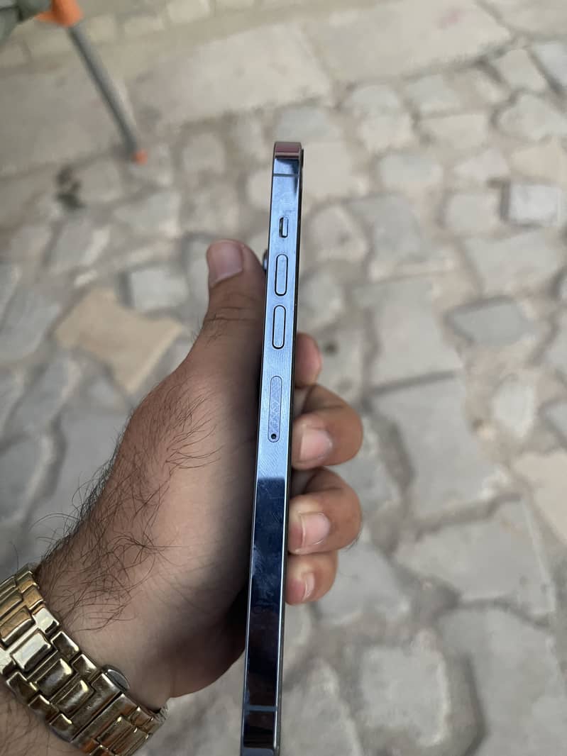 Apple iPhone 13 Pro Max 1