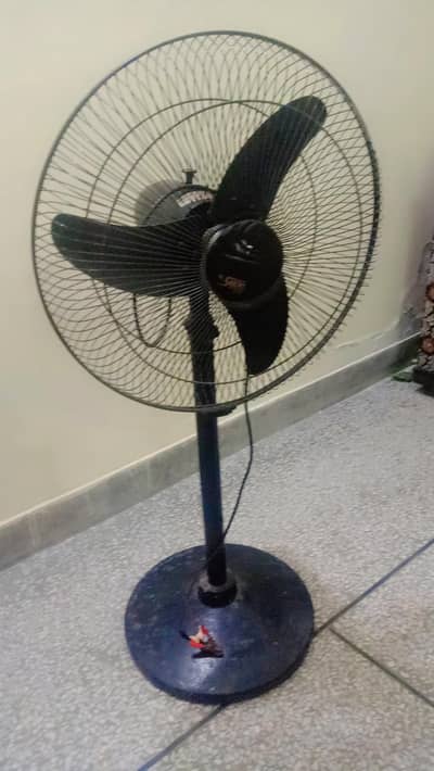 Al shaikh fan