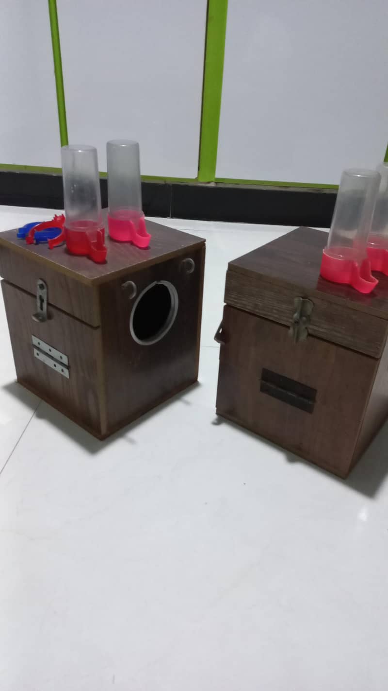 Breeding Box 1
