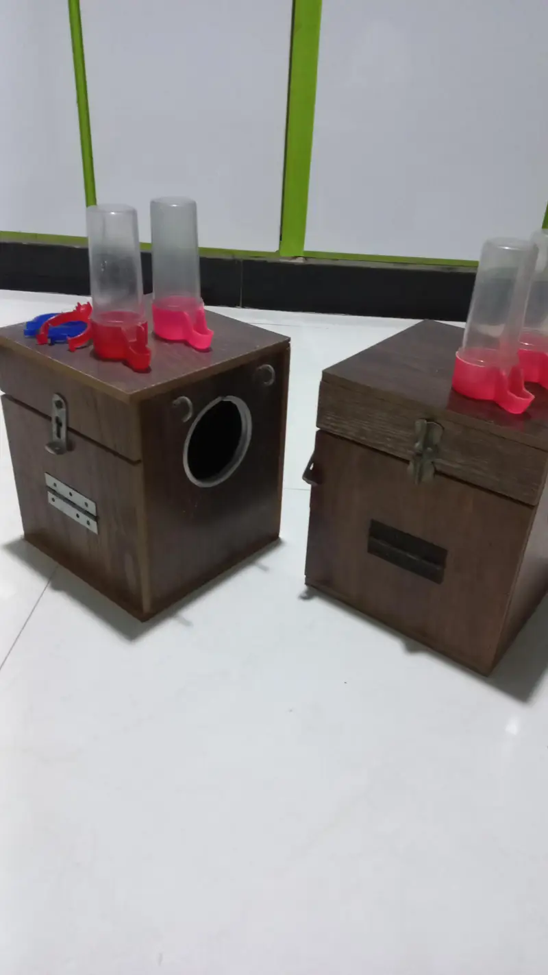 Breeding Box — photo 2