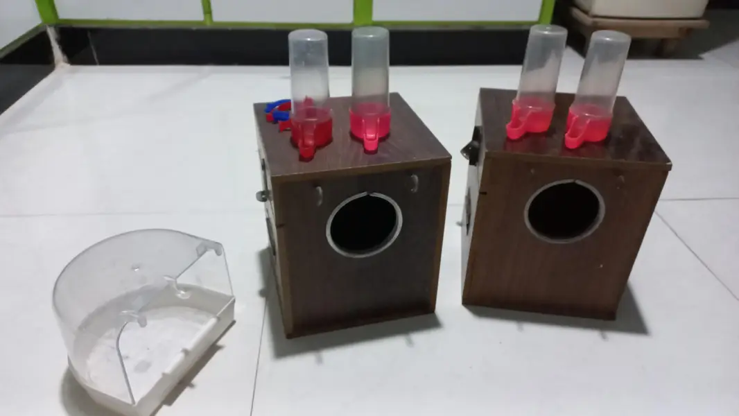 Breeding Box — photo 3