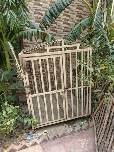 Dog cages for sale angle cages