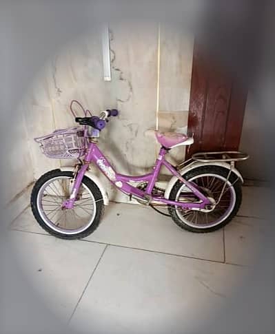 Kids Bicycle - Girls Purple with Basket, ~16 inch (age 4-8)