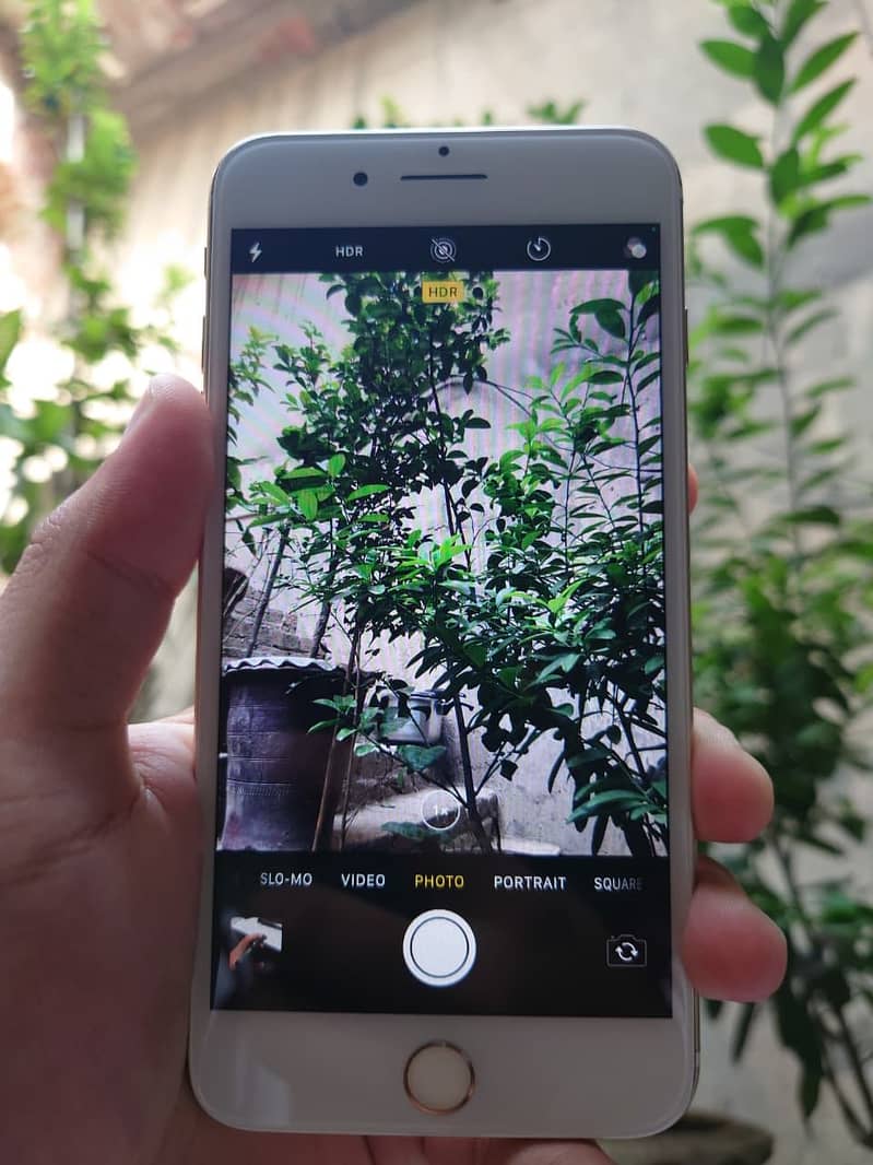 Apple iPhone 7 Plus 4