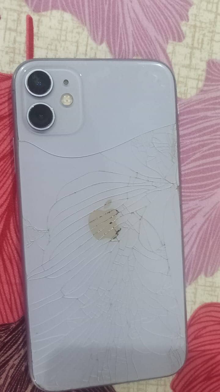 Apple iPhone 11 0