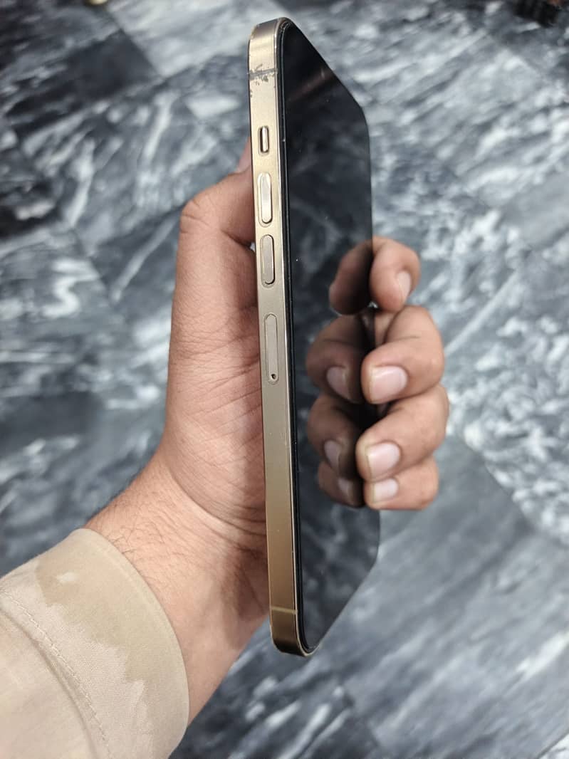 Apple iPhone 13 Pro Max 3