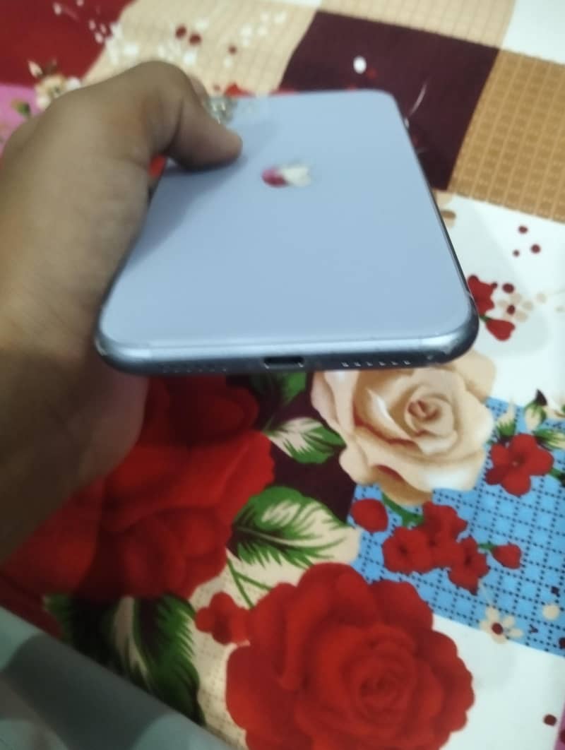 Apple iPhone 11 4