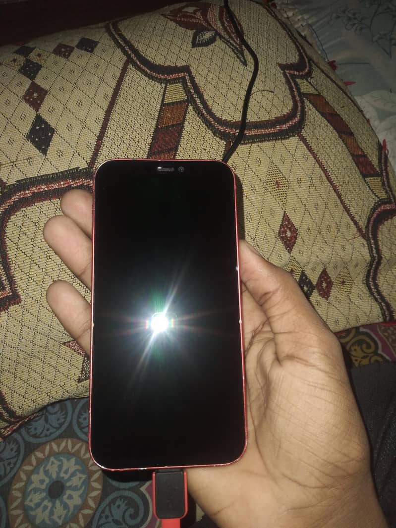 Apple iPhone 12 mini 1