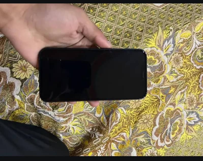 Apple iPhone 12 1