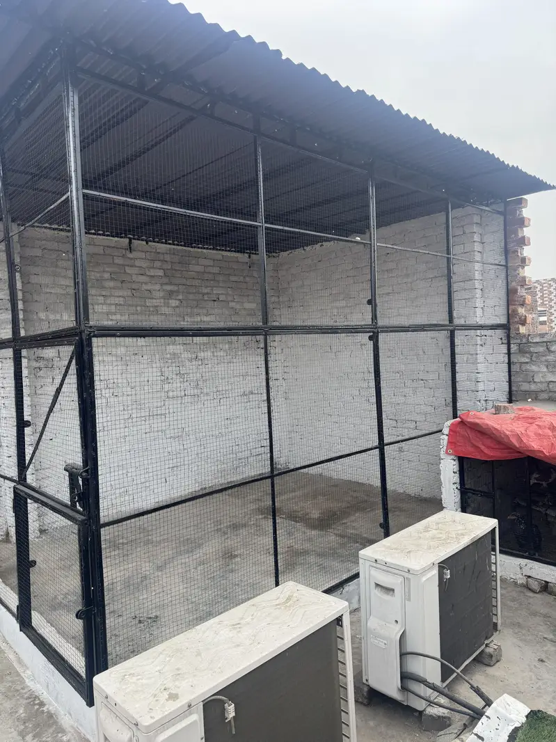 Folding Master cage for sale in  Lahore — photo 2
