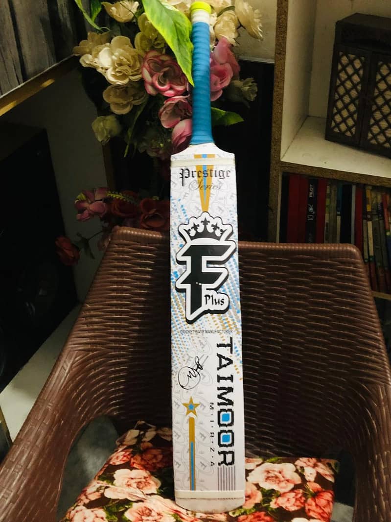 Cricket batt 1