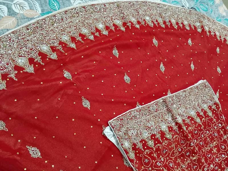 use full lehnga 1