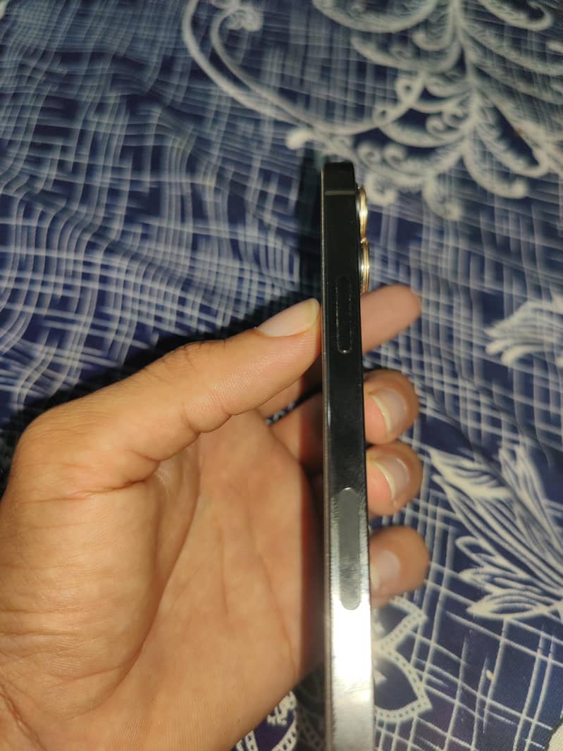 Apple iPhone 12 Pro 4