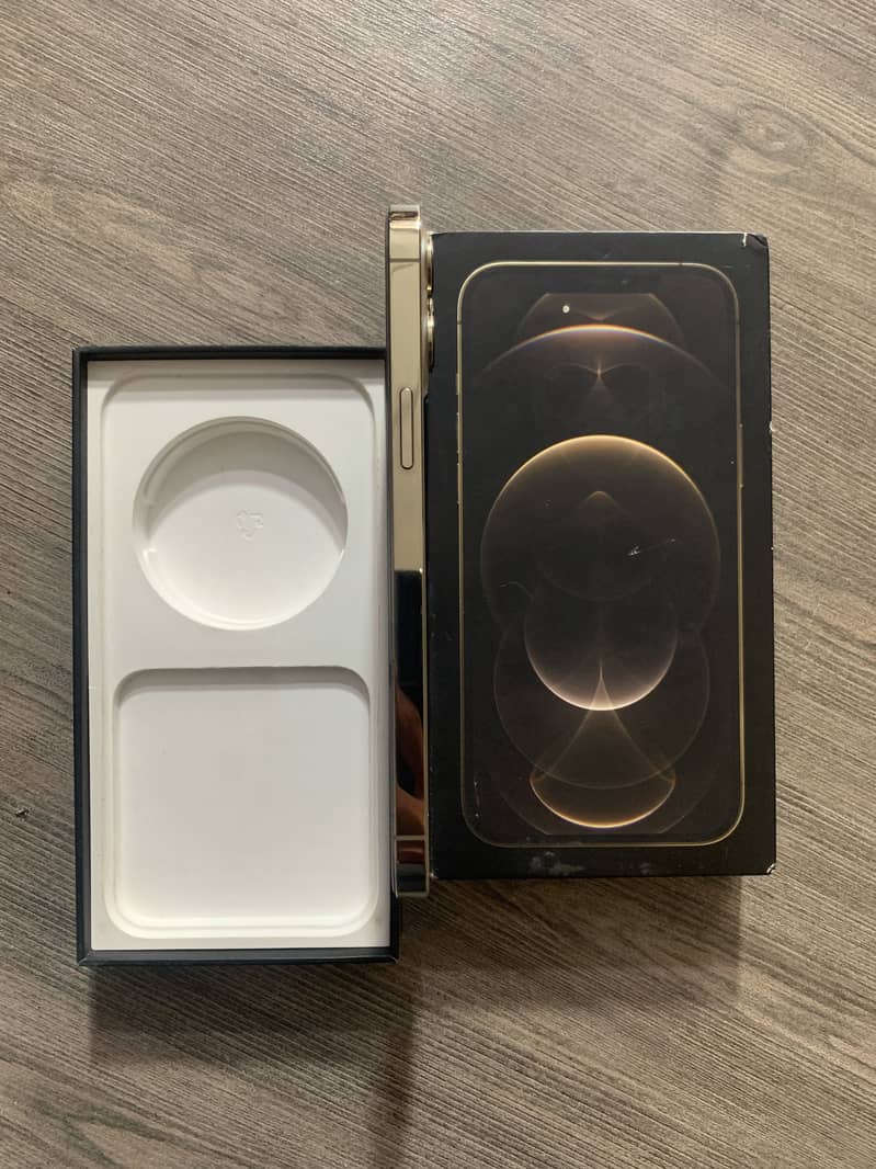 Apple iPhone 12 Pro Max 1