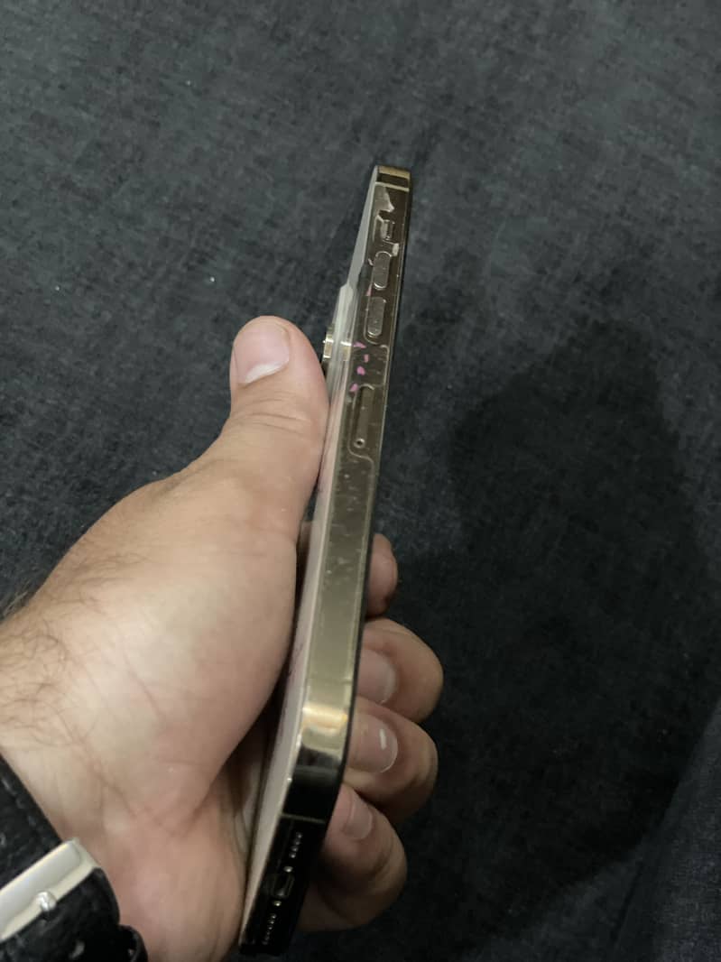 Apple iPhone 14 Pro Max 1