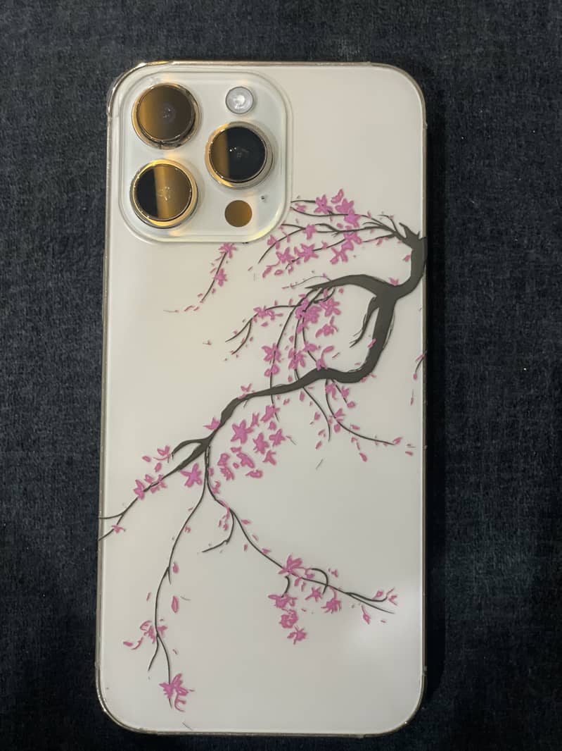 Apple iPhone 14 Pro Max 4