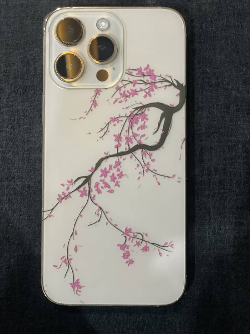 Apple iPhone 14 Pro Max 5