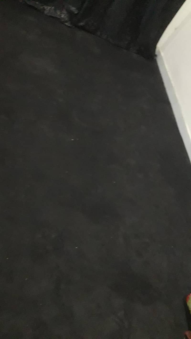 carpet 1