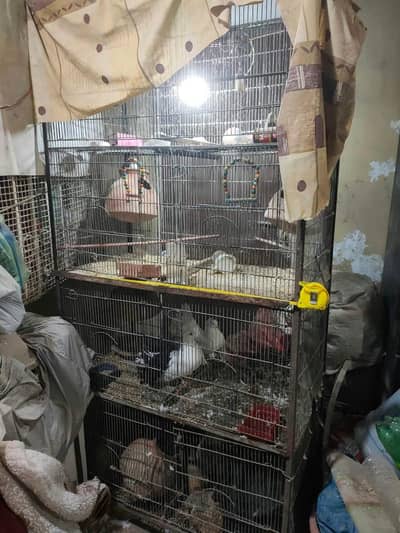8 portion bird pigeon cage | Pinjra Metal Cage