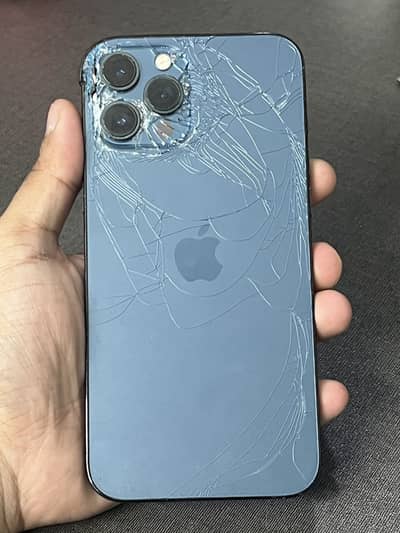 Iphone 12 pro max