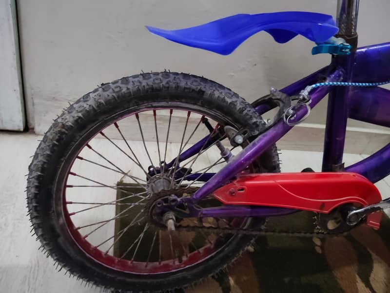 Morgan cycle 1