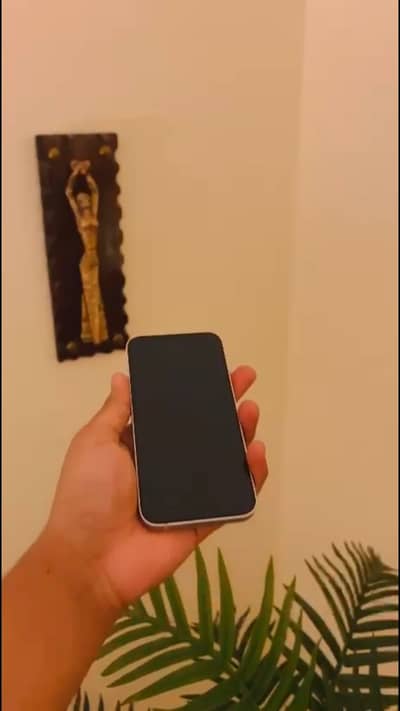 iPhone 13  PTA approved  condition 10/10