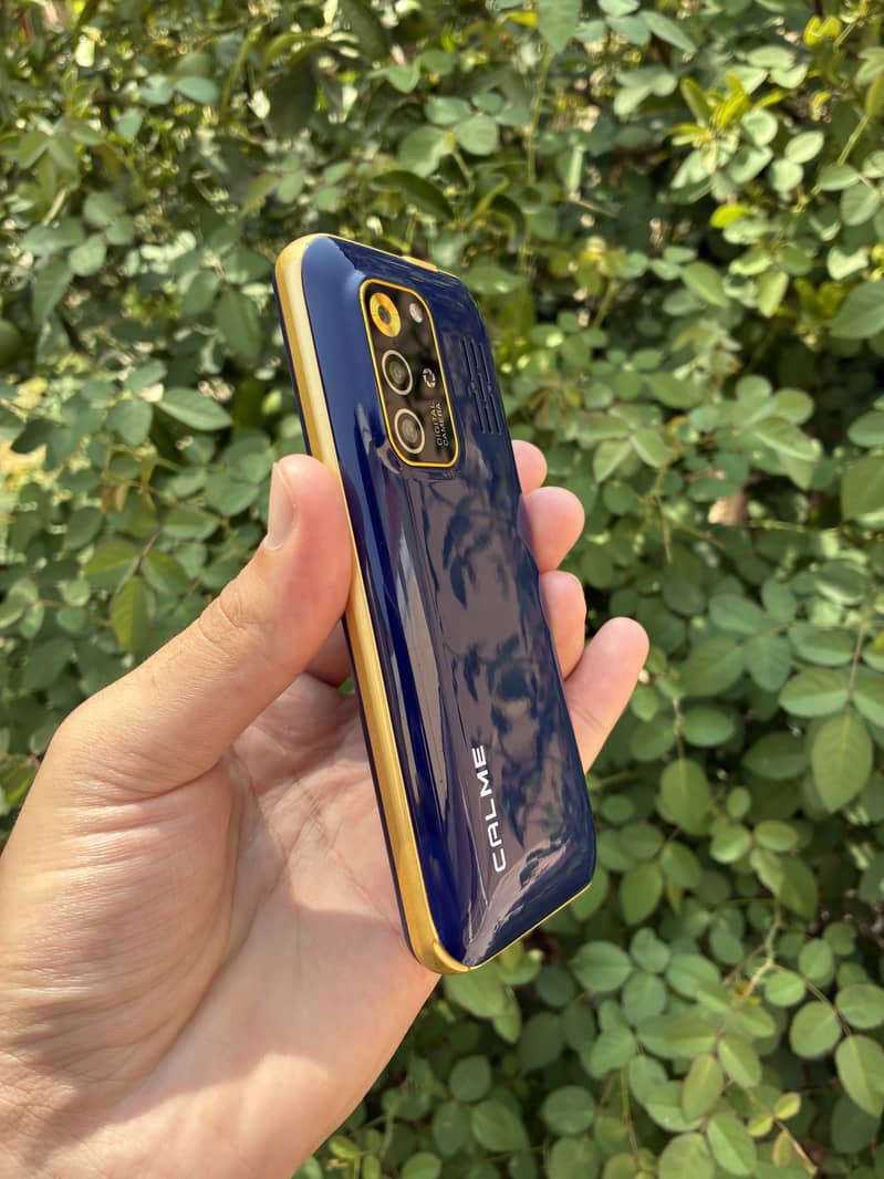 Calme Other Model 1
