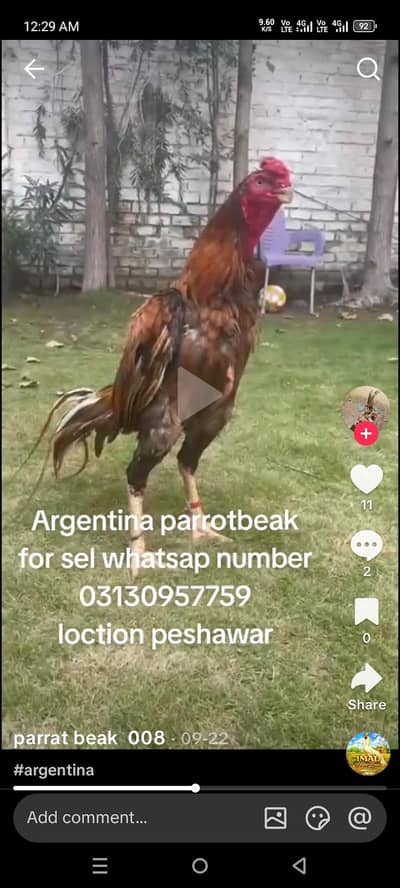 1730105601771