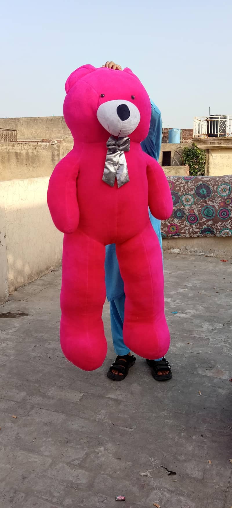 Teddy Bear Full Size 4