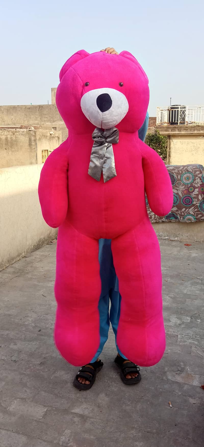 Teddy Bear Full Size 5