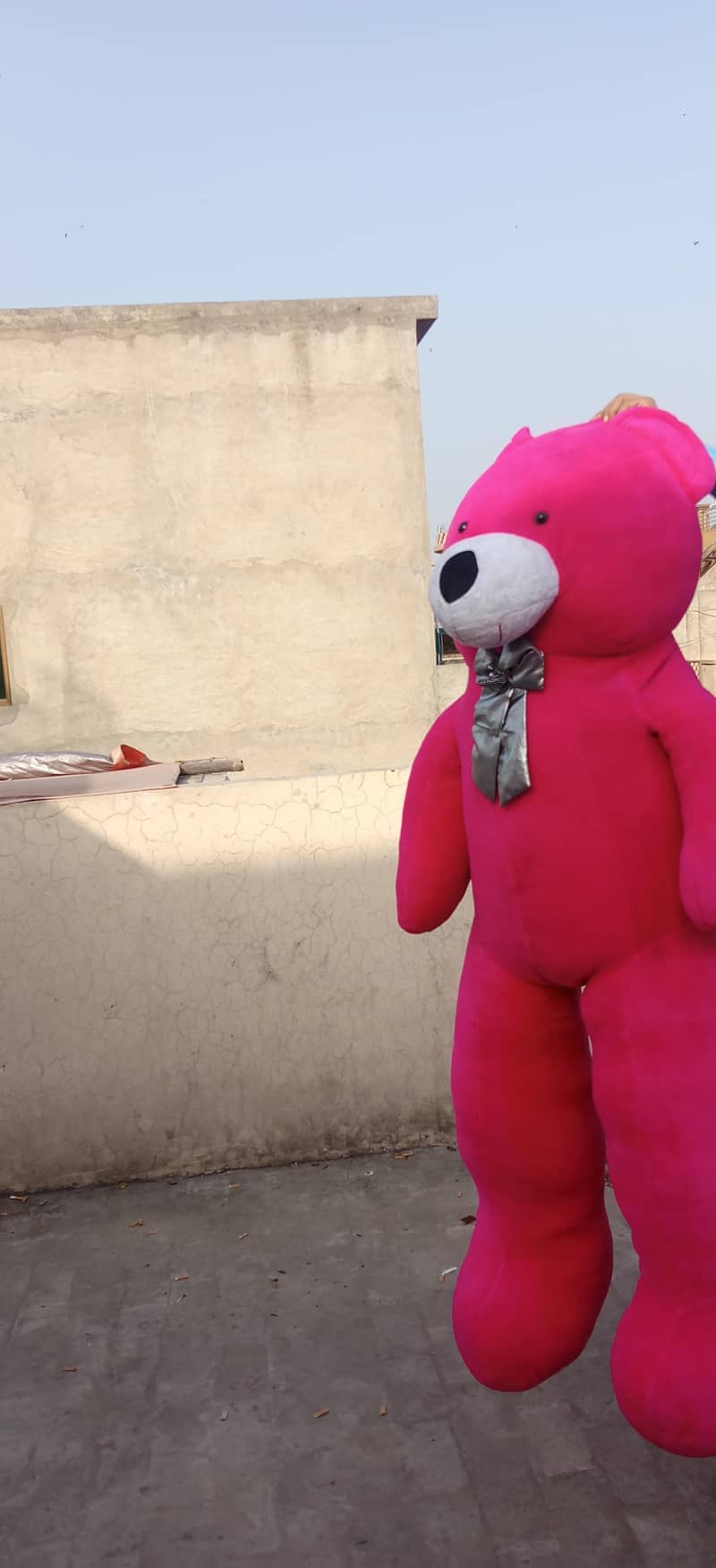 Teddy Bear Full Size 6