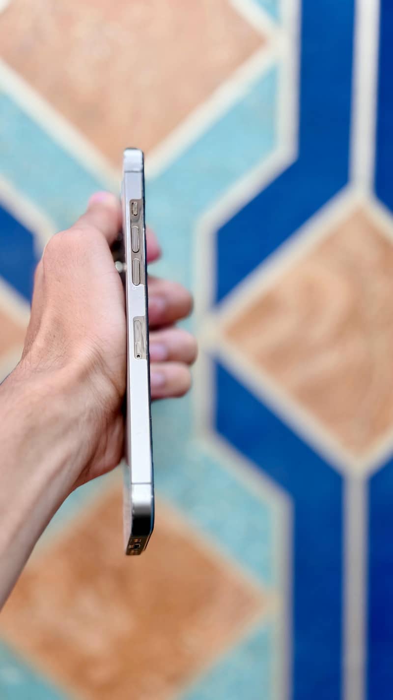 Apple iPhone 12 Pro Max 1