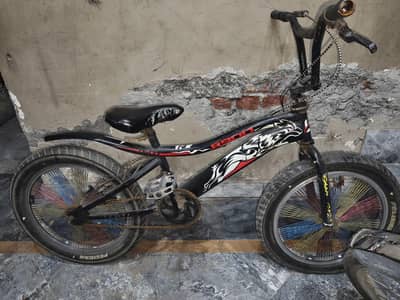 boy caykal. 24 inch saza