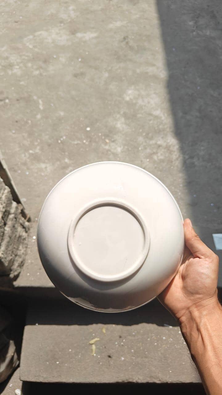 Plates 10