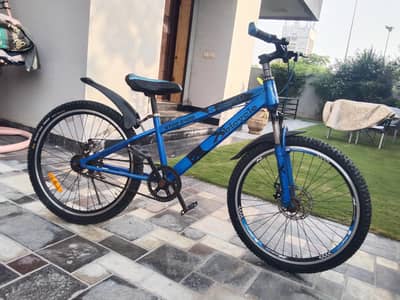 24 inch cycle